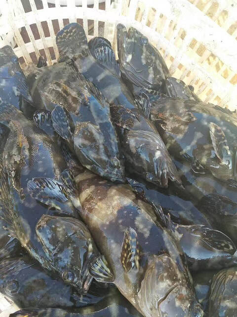 必赢亚洲(中国区)官方网站
