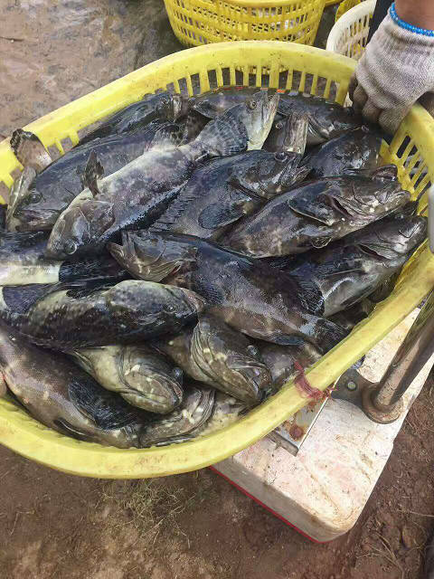 必赢亚洲(中国区)官方网站